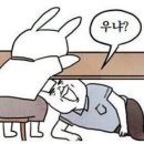 도라 이미지