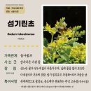 섬국어