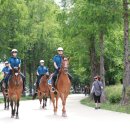 7년만의외출 이미지