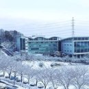 용인대학교 이미지