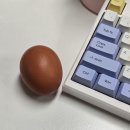 행파산월점 | [260126-0130] 벌써 새해의 1월이 끝났다는 게 말이 안 돼