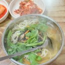 땡초손칼국수 | 칼칼한 국물이 생각날 때 울산 중구 성남동 땡초손칼국수 솔직 후기