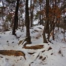 경기 화성 칠보산(239m) 설 연휴에 걷는 &#39;노약자와 주부들을 위한 산행지(?)&#39; (2025.2.1)