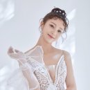 안혜경 카카오 검색결과