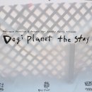 도기플래닛 더 스테이 이미지