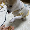 (주)마들렌 베이커리 이미지