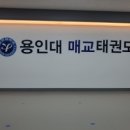 용인대 국기 태권도장 이미지