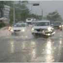 양재천로 이미지