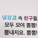 나우뮤직 이미지