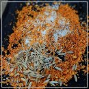 의정부역 | 내 돈 내산! 인생 최고의 의정부역 양꼬치 맛집 후기