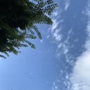 청강리차고지 | 1박 2일 뚜벅이 부산 기장 여행 첫째날 후기
