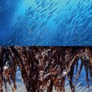 크리에이터타운 서교 이미지