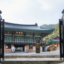 금정 이미지