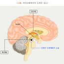 온기담은 한의원 이미지