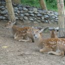 환호해맞이공원 이미지