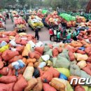 새마을의류