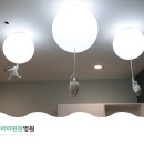 수원-0019 이미지