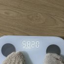 슬림허브다이어트 - 부산진구 | 바인허브 슬림이펙터 내돈내산 후기 ㅣ10일차 3.5키로 감량