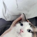 푸근푸근 이미지