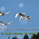철새는 날아가고 (El Condor Pasa) 사이먼 앤 가펑클 이미지