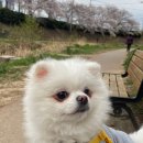 삼방천 이미지