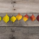 은아영재어린이집 이미지