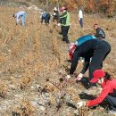 정선읍사무소 이미지