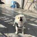 경도식당 이미지