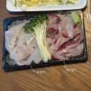 묵은지가기가막회 | [배달 맛집] 내돈내산 | 봉팔이수산 활어회&물회 배달 후기 | 혼자 먹는 대광어 + 보리숭어 막회