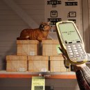 오산2리 | [게임리뷰] 스팀 시뮬레이션 게임 후기 - 청소&amp;노가다 편 (2)