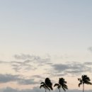 마레메디칼 이미지