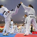 대표태권도 이미지