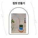 애비뉴봉봉