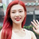 미래애견 네이버블로그