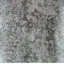 동향초등학교 이미지