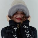 페르시안캣 이미지