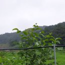 선행농원 이미지