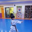 정도(태권도) 이미지