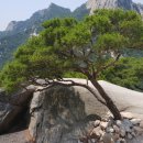 초형농장 이미지