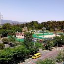 성안부동산중개사무소 이미지