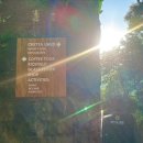 고고씽PC | 발리스윙 우붓여행 필수코스 알라스하룸 스윙 할인티켓 가격 준비물