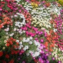 돌실공원 이미지