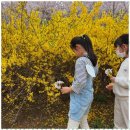 계명태권도 | 대구인성교육 두려움 딛고 성장한 나의 태권도 여정