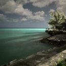 청개구리 당구장 이미지