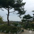 바다햇살 이미지