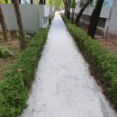 당촌초교 옆 | 샛별마을 우방 삼부 라이프 동성 아파트 산책