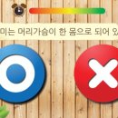 (주)시지웨이브 이미지
