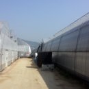 수란농장 이미지