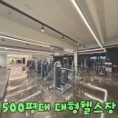 대경 엠트레이닝 센터 | [계산동PT] 계산동에서 진짜 변화를 만드는 곳, 엠짐 계산점 PT로 완성하는 회복 중심 루틴