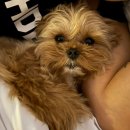 올데이 그루밍 이미지